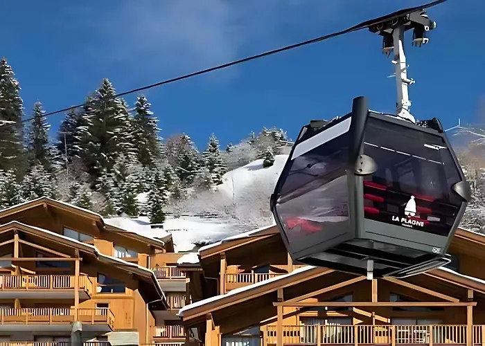 Crépines 2 à 4 Personnes Au Pied Des Pistes La Plagne